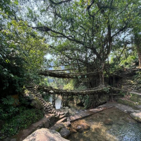 Odyssey Stays Nongriat - 3Kms trek from Main Road